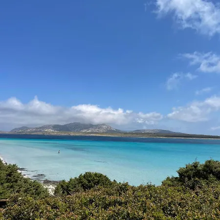 Casa vacanze I Pescatori Di Stelle-l6 Felis Stintino