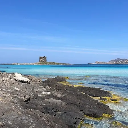I Pescatori Di Stelle-l6 Felis