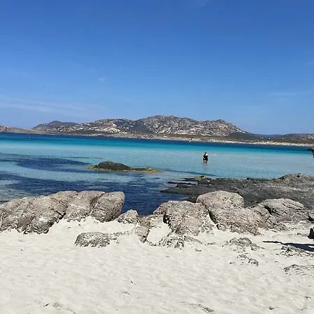I Pescatori Di Stelle-l6 Felis Holiday home Stintino