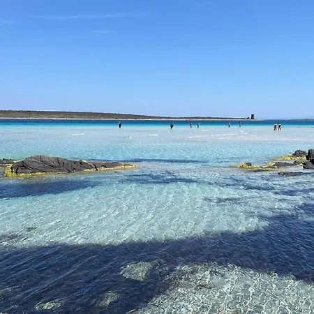 I Pescatori Di Stelle-l6 Felis * Stintino