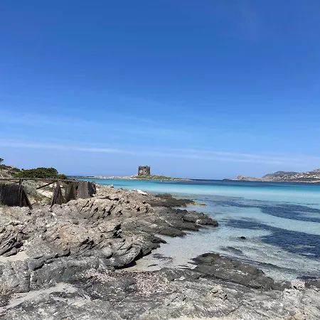 I Pescatori Di Stelle-l6 Felis Stintino