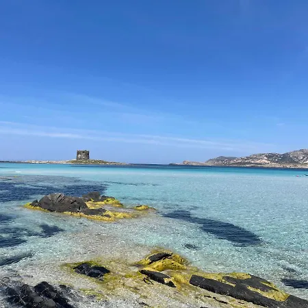 I Pescatori Di Stelle-l6 Felis
